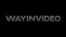WayinVideo