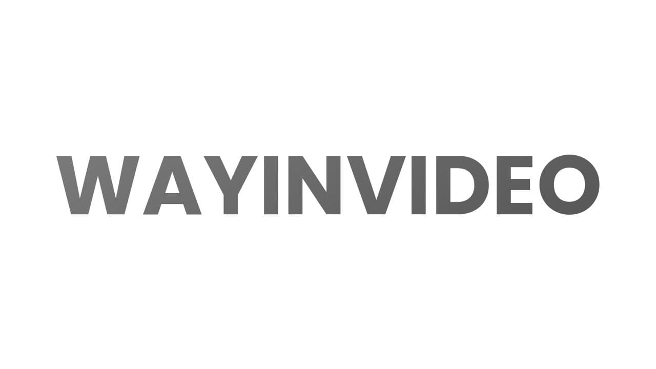 WayInVideo