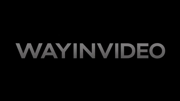 WayInVideo